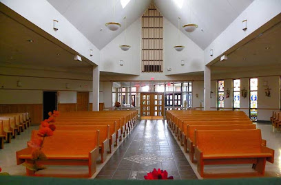 (Buffalo) Saints Columba and Brigid