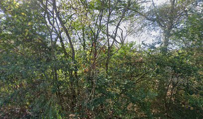 (Phenix City) Mother Mary Church