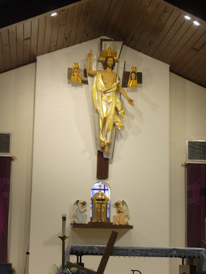 (Dallas) Our Lady of San Juan de los Lagos