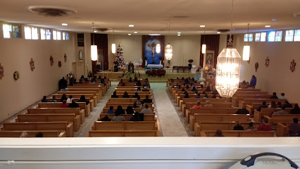 (El Paso) San Ignacio