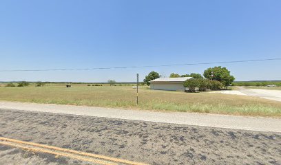 (Graford) Saint Francis of Assisi