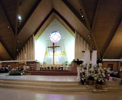 (Houston) Holy Ghost