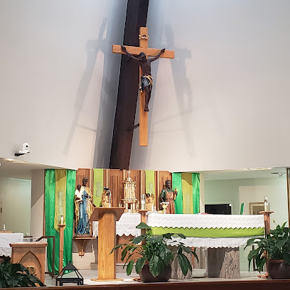 (Houston) St. Francis of Assisi