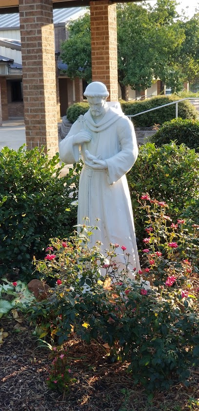 (Orange) St. Francis of Assisi