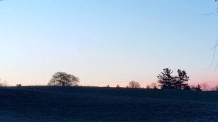 (Greenleaf) St. Patrick