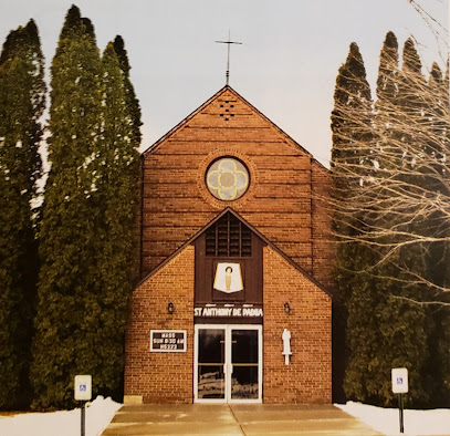 (Tony) St Anthony De Padua