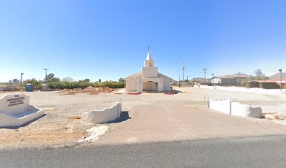 (Congress) Good Shepherd Of The Desert