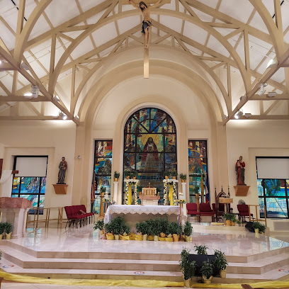 (Miami) Notre Dame D'haiti