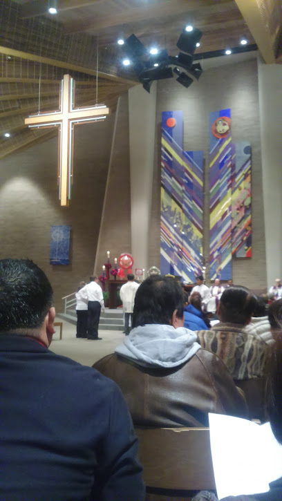 (Orland Hills) St Elizabeth Seton Church