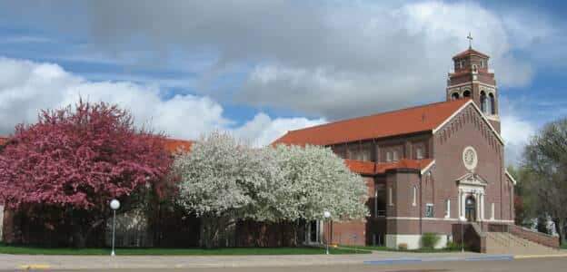 (St francis) St Francis