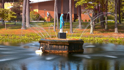 (Lexington Park) Immaculate Heart of Mary