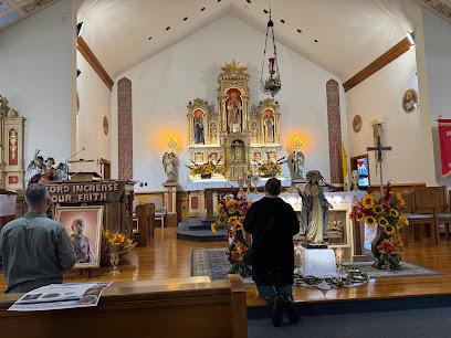 (Dudley) Diocesan Shrine of St. Andrew Bobola