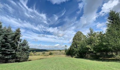 (Boyne Falls) St. Augustine