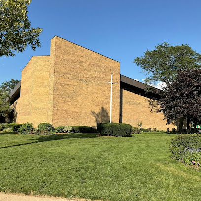 (Westland) Saint Mary, Cause of Our Joy