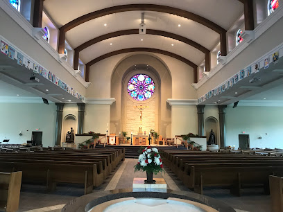 (O'Fallon) Assumption of the BVM