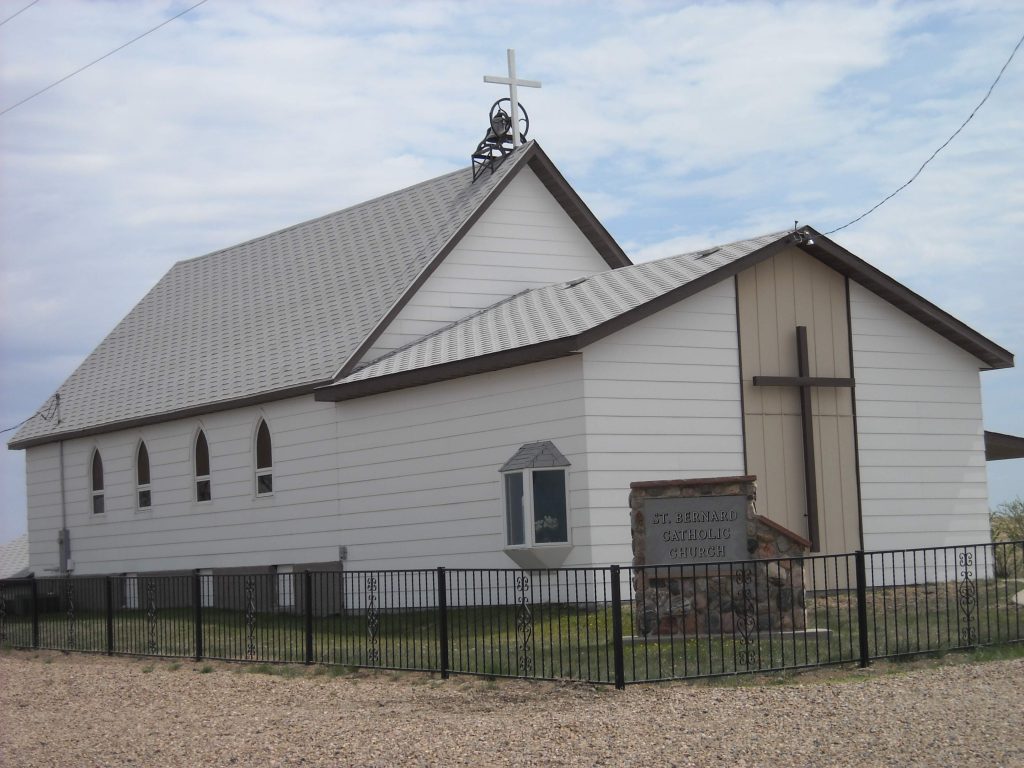 (Charlie Creek) St. Bernard